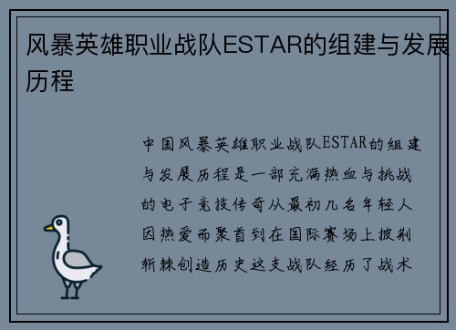 风暴英雄职业战队ESTAR的组建与发展历程